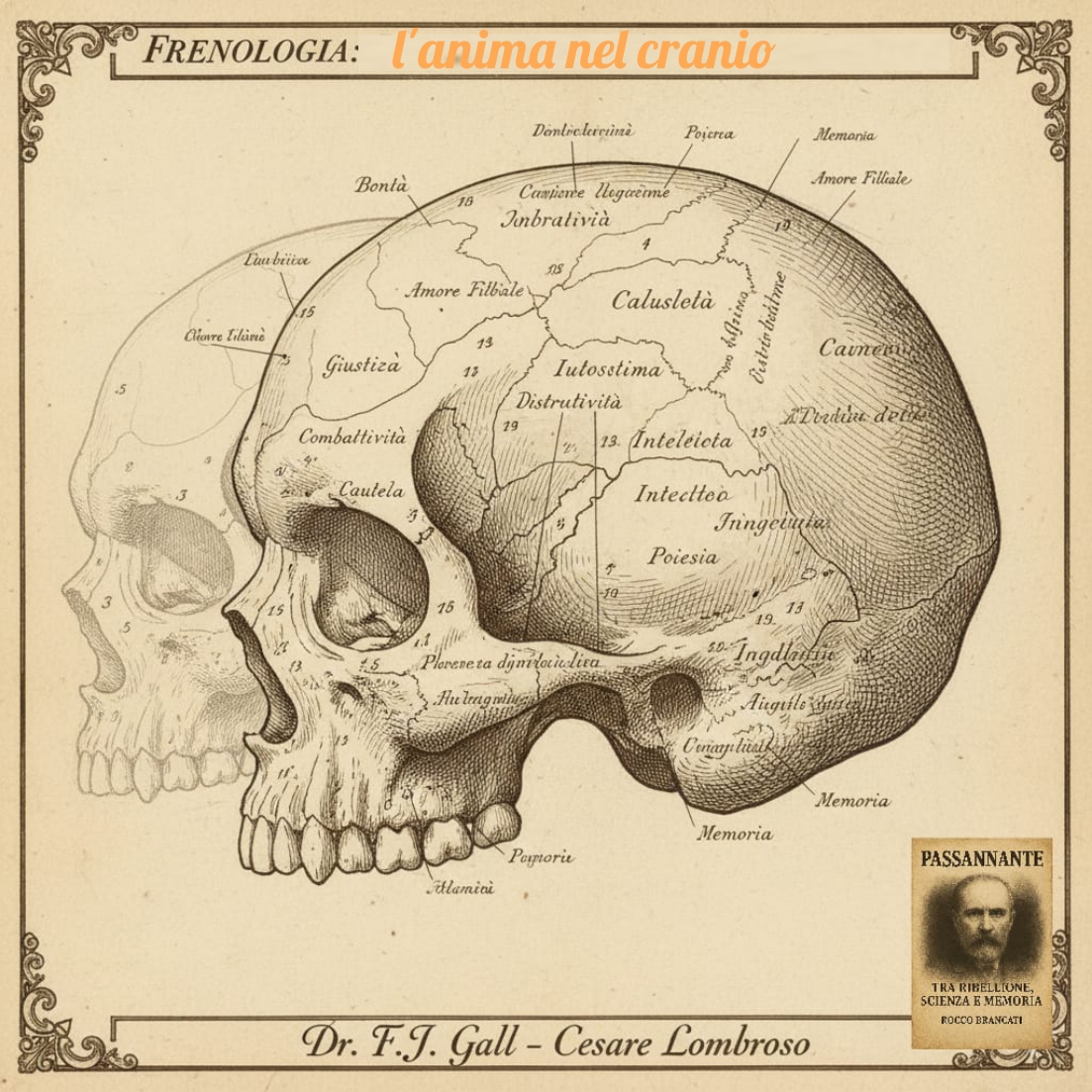 Teoria di Gall e del Lombroso 