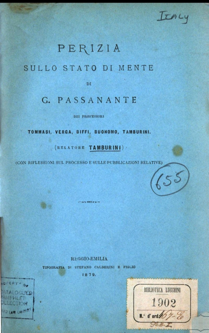 Perizia sullo stato di mente. 1879