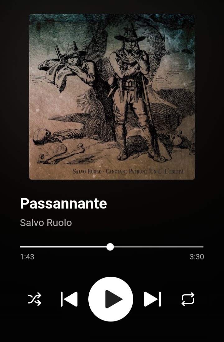 Brano Punk di SALVO RUOLO